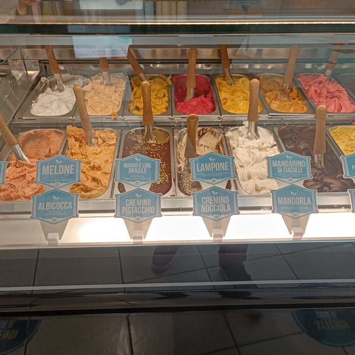 photo of Gelateria Duomo gelato shared by @francescor on  08 Jul 2022 - review