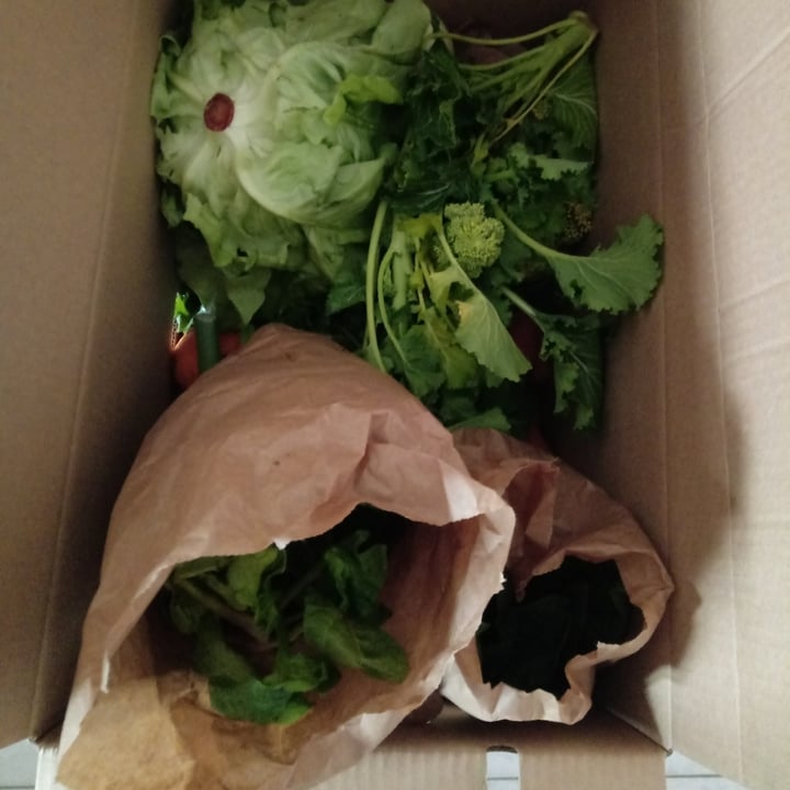 photo of Babaco box Box con carote, spinaci, finocchi, cima di rapa… shared by @lapao on  01 Apr 2022 - review