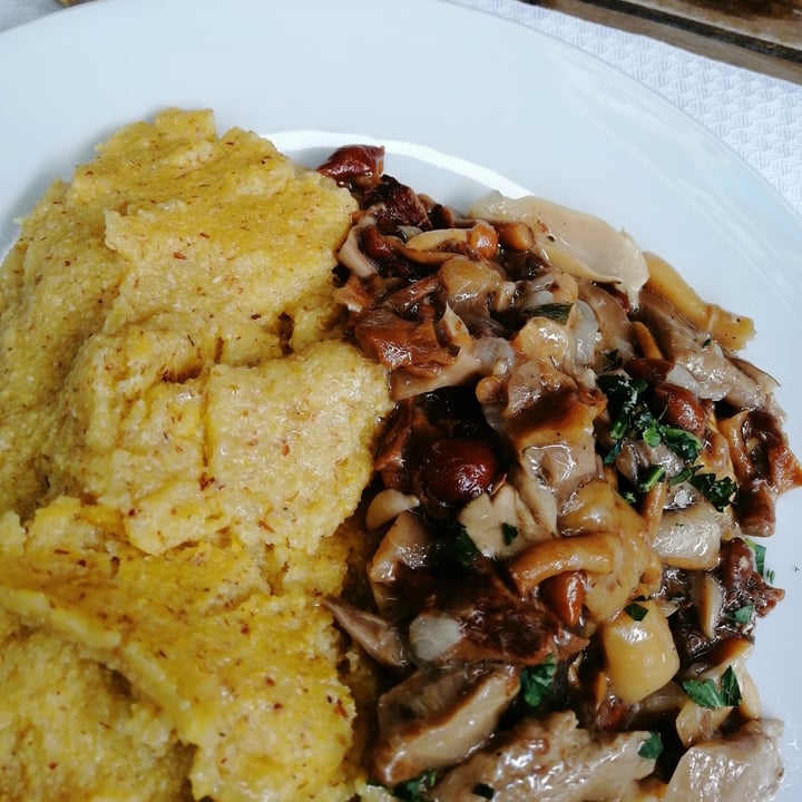 review photo of Eco Park Hotel Azalea polenta e funghi shared by @luigimiracolato on 05 Aug 2022 - review