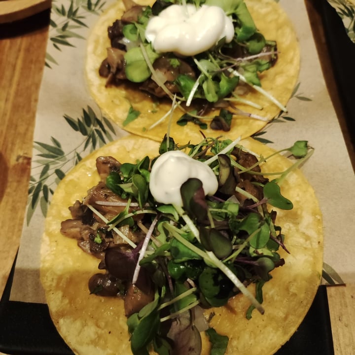 photo of Gallo Santo Tacos de setas shared by @esther7 on  25 May 2022 - review