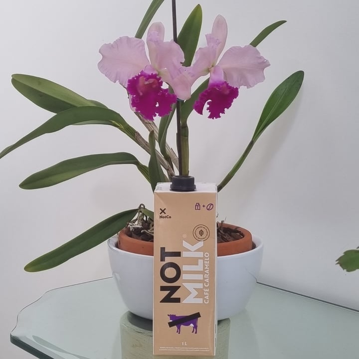 review photo of not milk café e caramelo Not Milk Café E Caramelo shared by @luizaelias on 12 Oct 2022 - review