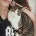 veggyisa @veggyisa profile image