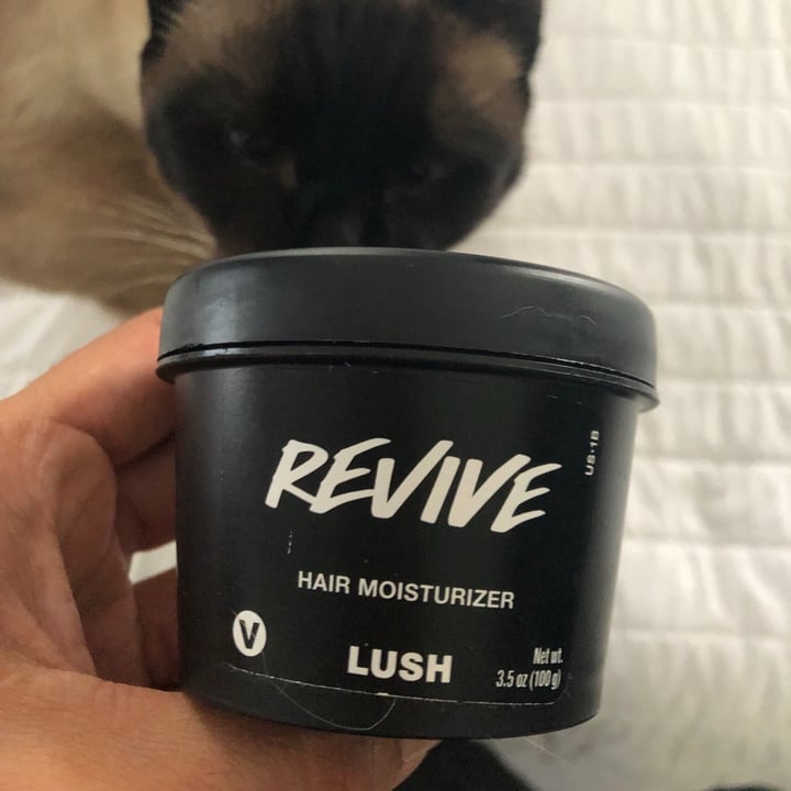 photo of LUSH Fresh Handmade Cosmetics R&B Hidratante Capilar shared by @maryuly on  16 Aug 2021 - review