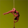 nikkibasson @nikkibasson profile image
