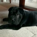 sele0312 @sele0312 profile image