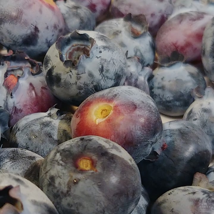 photo of Driscoll’s Organic blueberries shared by @mikekenn on  12 Dec 2021 - review