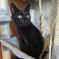 sandrine @sandrine profile image