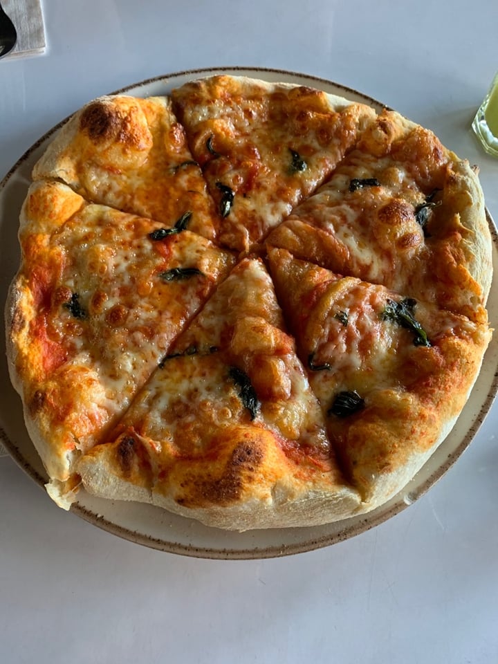 photo of Hervíboro Cocina Vegana Pizza Margarita shared by @afxvx on  19 Nov 2019 - review