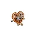 vegisg00d @vegisg00d profile image