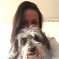 veroanton @veroanton profile image