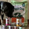 Green PetFood