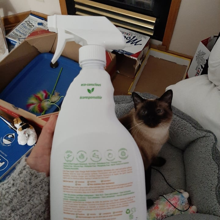 review photo of Live Clean Multi-Surface Cleaner shared by @liszy on 13 Jan 2021 - review
