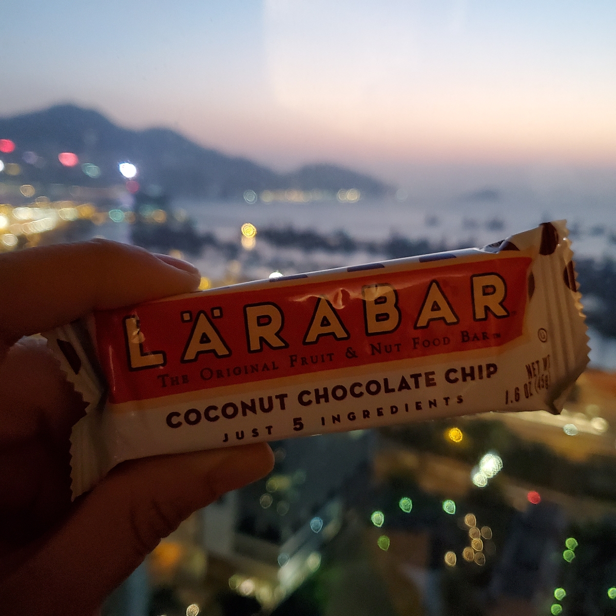 Larabar Coconut Chocolate Chip Reviews abillion