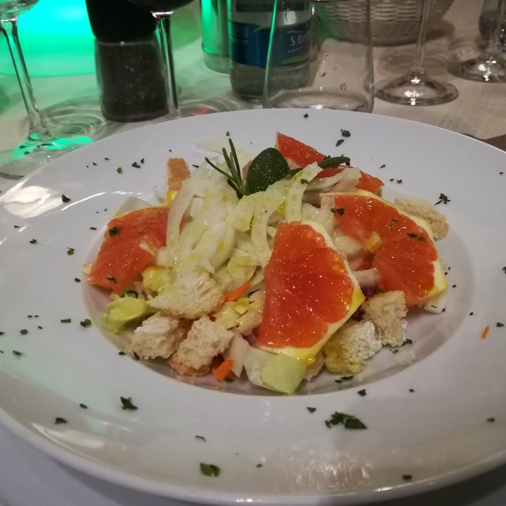 review photo of Ristorante Ca' del Lupo Insalata Di Finocchi shared by @sarettamagx on 24 Sep 2021 - review
