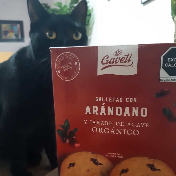 photo of Gaveti Galletas con arándano y jarabe de agave orgánico shared by @jazdiaz on  14 Aug 2021 - review