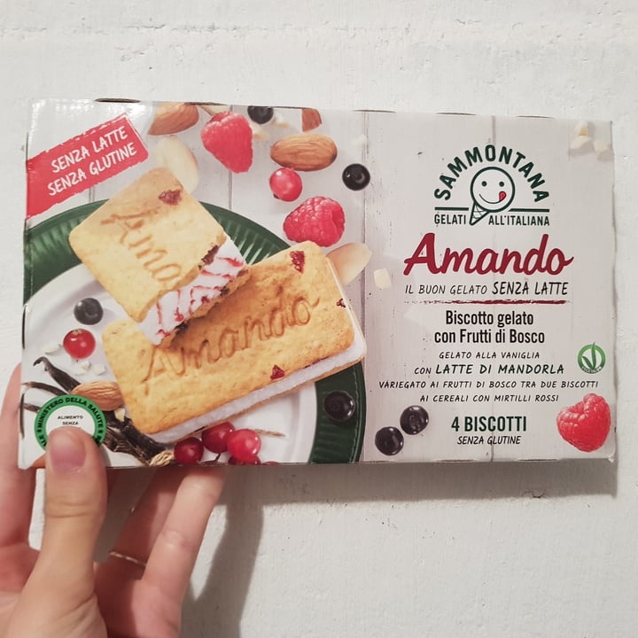photo of Sammontana Biscotti Gelato Con Frutti Di Bosco shared by @saranicosia5 on  01 Jun 2020 - review