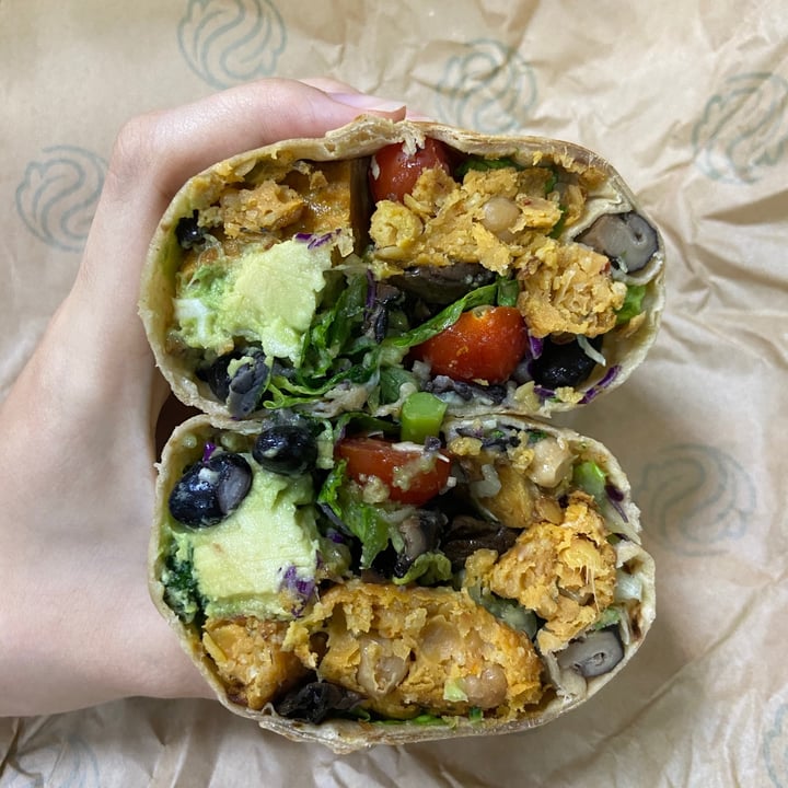 photo of SaladStop! @Capital Tower Earth Bowl Wrap shared by @kohliflower on  23 Jan 2021 - review