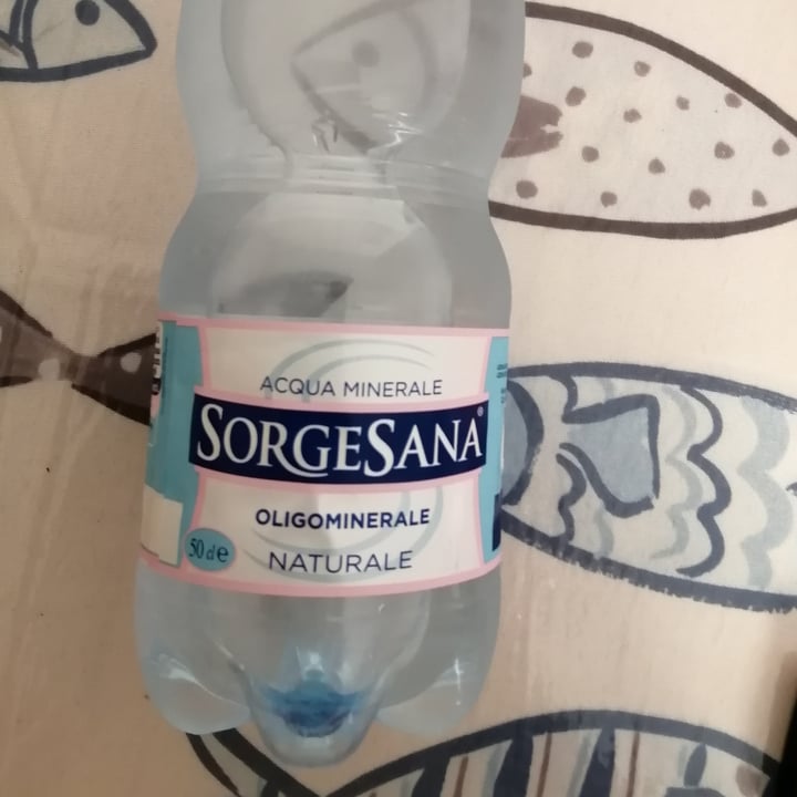 review photo of sorgesana acqua minerale shared by @iole on 01 Jul 2022 - review