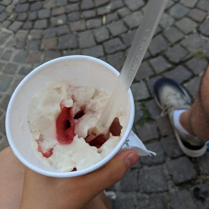 The art of ice cream Gelateria Verona, Verona, Italy Reviews abillion