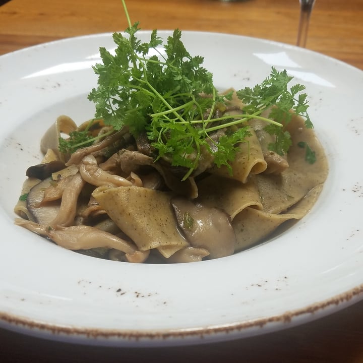 photo of Donato & Co. Pappardelle pasta with mushroom medley shared by @doglover1 on  04 Jul 2021 - review
