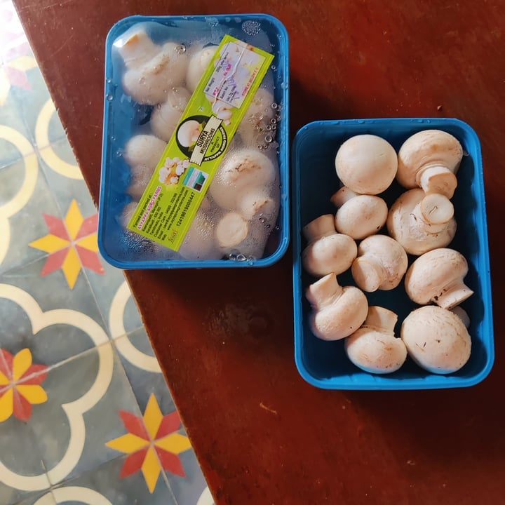 photo of Ayyappa agro farms Mushrooms shared by @beansandbroccoli on  21 Jul 2021 - review