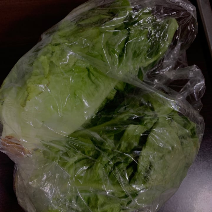 photo of Gotham baby butterhead lettuce Gotham baby butterhead lettuce shared by @taritakaur on  20 Feb 2022 - review
