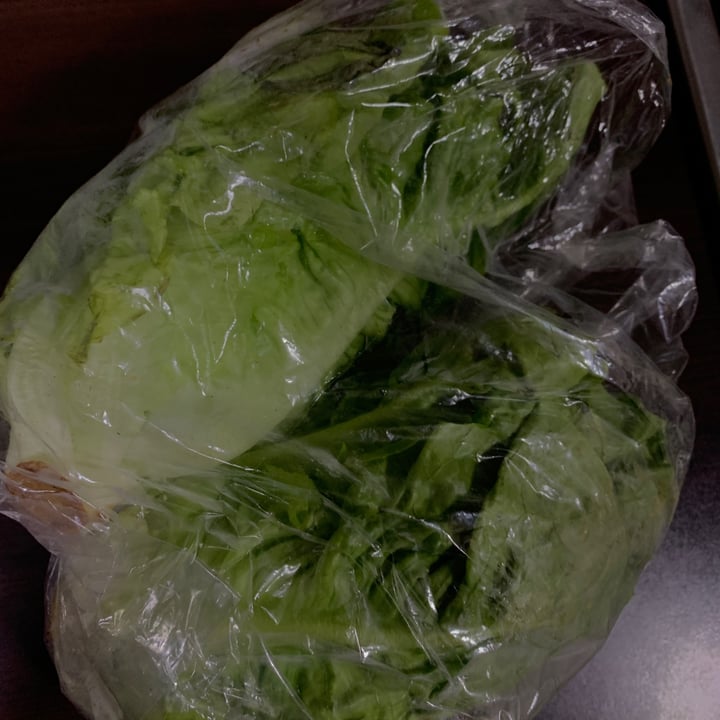 review photo of Gotham baby butterhead lettuce Gotham baby butterhead lettuce shared by @taritakaur on 20 Feb 2022 - review