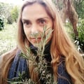 saradegrossi @saradegrossi profile image