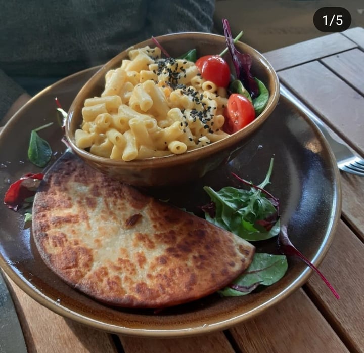 photo of Bonobo Cafe Vegan Mac Cheese shared by @skito1987 on  17 Mar 2019 - review