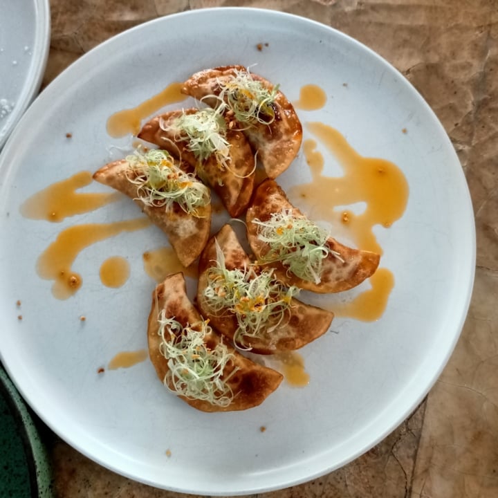 review photo of Analogue Pumpkin Dumplings shared by @skootykoots on 12 May 2022 - review