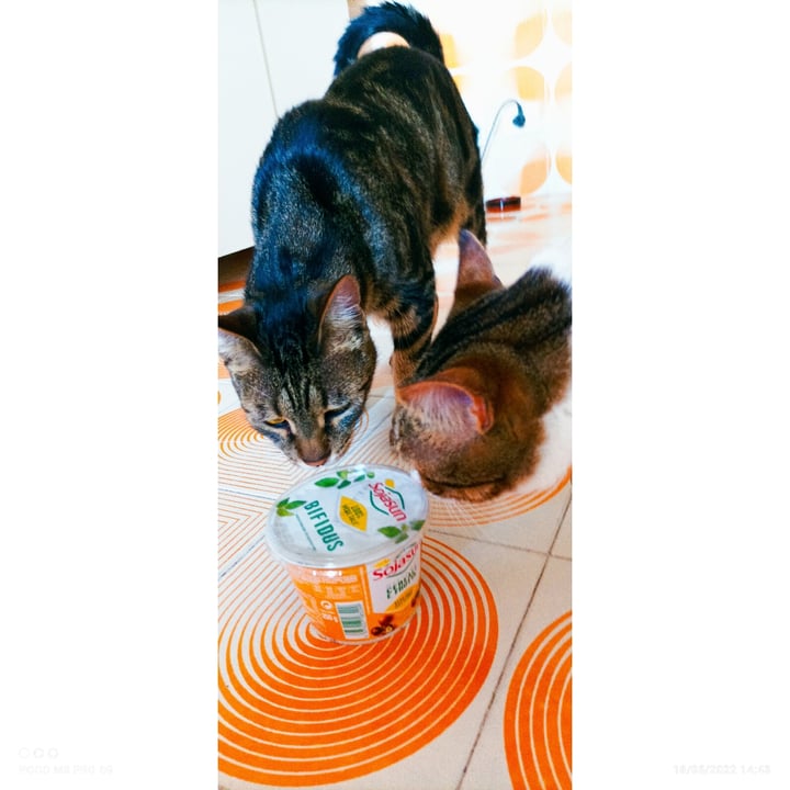 review photo of Sojasun Bifidus Yogurt Cereali e Frutta shared by @cricchi on 18 May 2022 - review