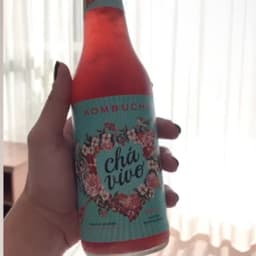 Chá Vivo