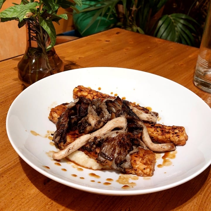 photo of Fonderia Gastro Bistrot Tempeh di ceci shared by @wandavetveg on  13 May 2022 - review