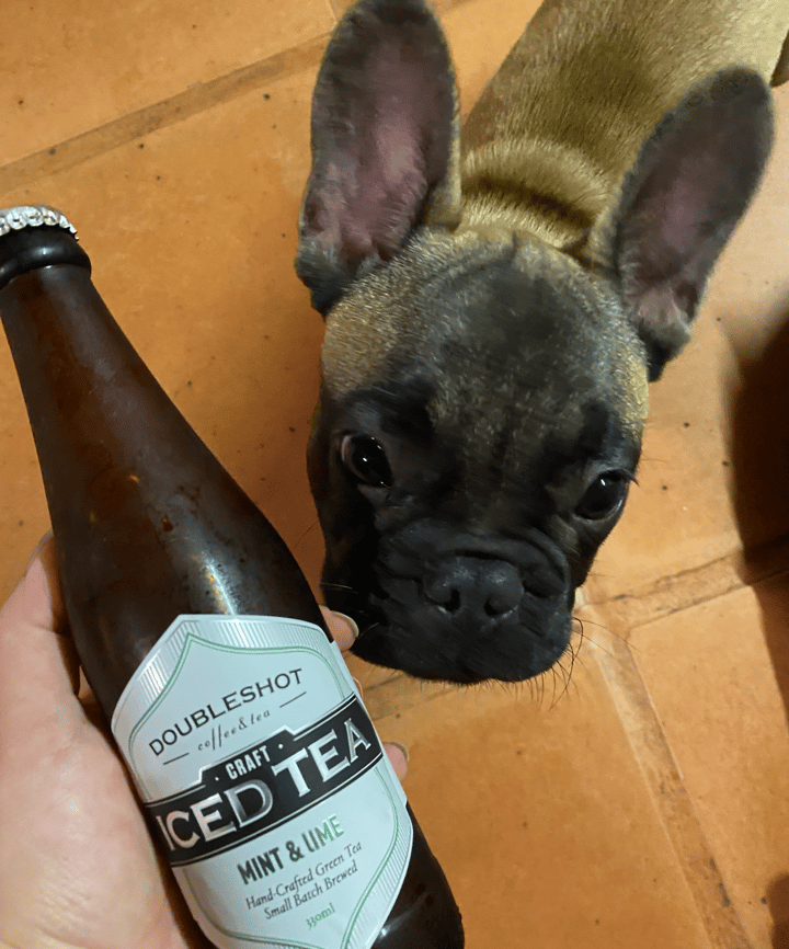 review photo of Doubleshot Craft Iced Tea - Mint & Lime shared by @nixx on 18 Jun 2022 - review