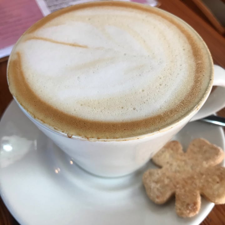 photo of Fresh Earth Food Store Oat M*lk Cappuccino shared by @sarahjeggle on  10 Mar 2021 - review