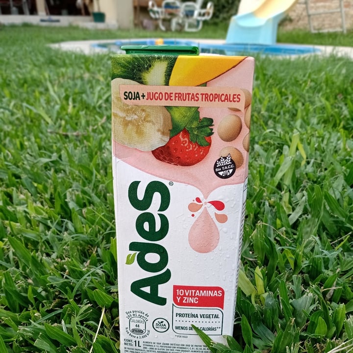 photo of Ades Leche de Soja sabor Frutas Tropicales shared by @lau1307 on  01 Feb 2021 - review