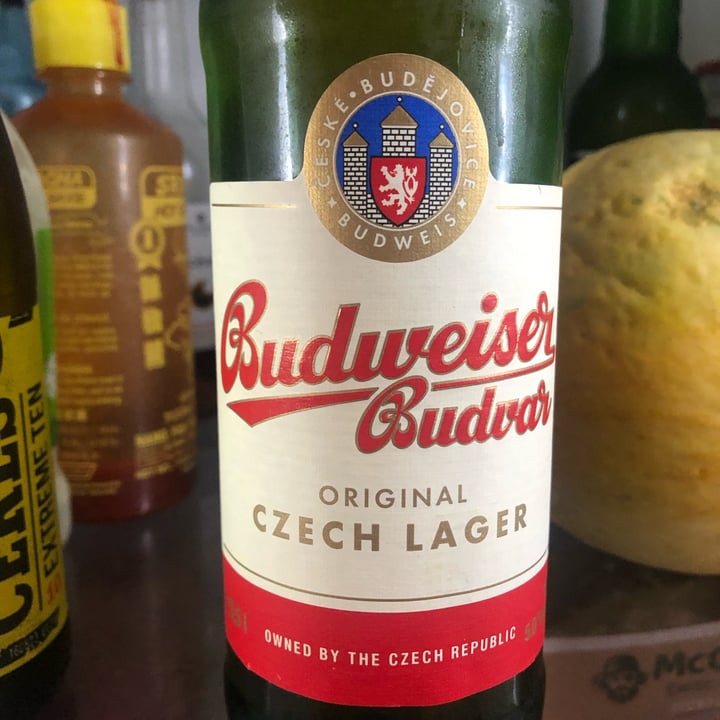 photo of Budweiser Budweiser Budvar shared by @123ale on  06 Sep 2022 - review