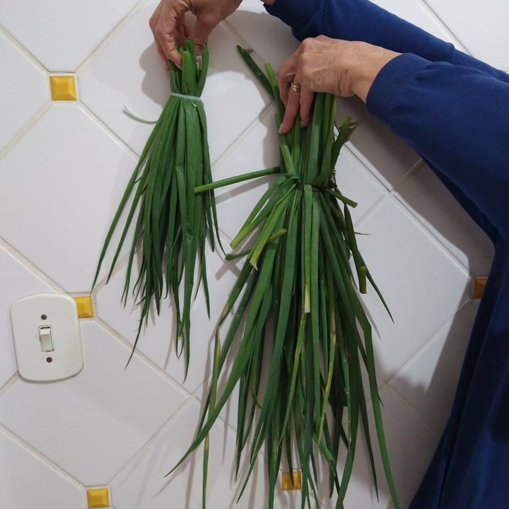 review photo of Cheiro Verde Cheiro verde shared by @mariadocarmovidalbas on 11 Jul 2022 - review