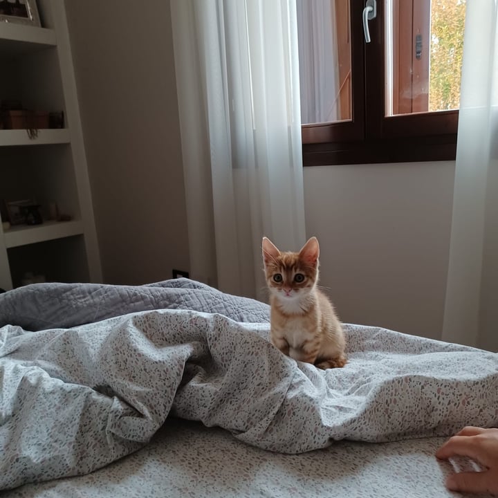 review photo shared by @bresta on 12 Oct 2022 - post