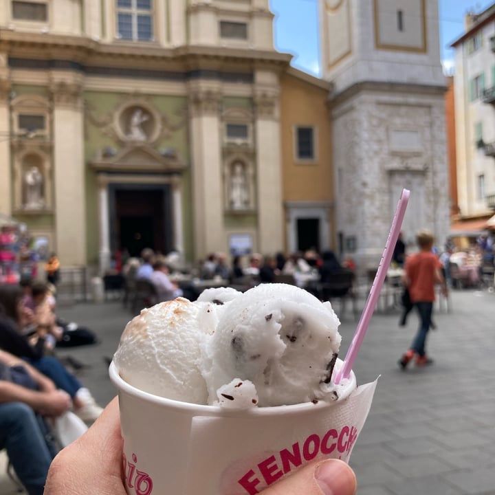 photo of Fenocchio Gelato Menthe Chocolat shared by @chloslo on  01 May 2022 - review