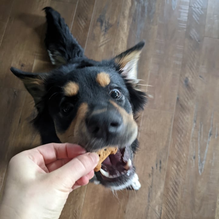 photo of Trader Joe's Grain Free Dog Treats with Peanut Butter & Banana shared by @wayfaringlass on  20 Oct 2022 - review