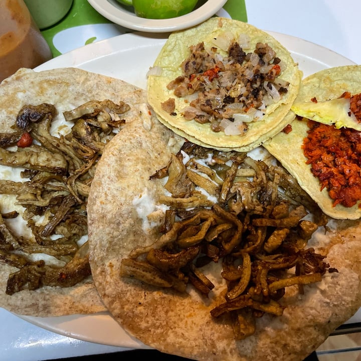 photo of El veganito Gringas shared by @albiselena on  06 Apr 2022 - review