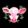 antiespecistaszs @antiespecistaszs profile image