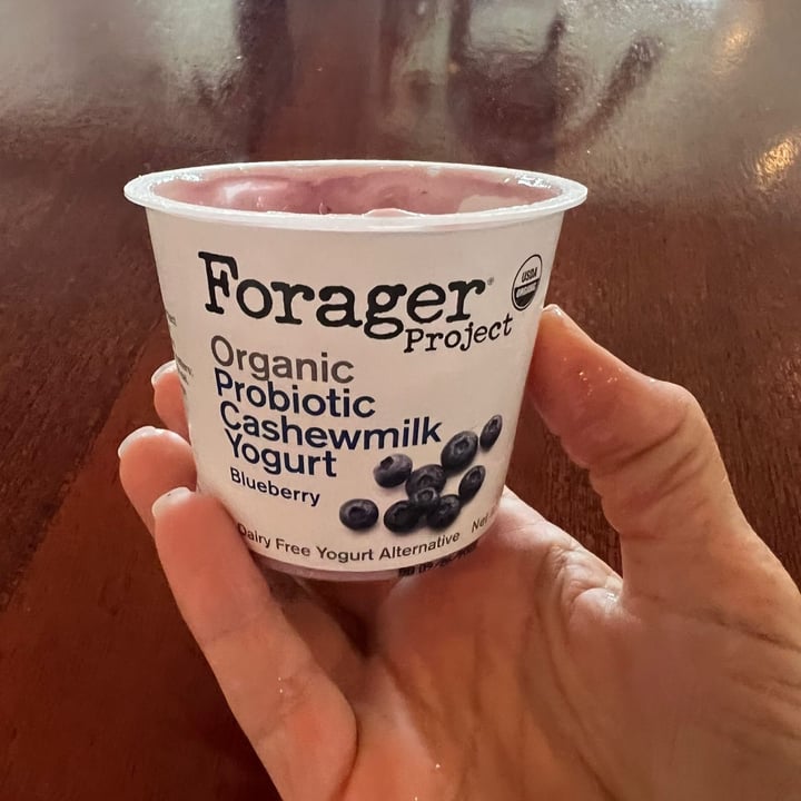 photo of Forager Project Blueberry Cashewmilk Yogurt shared by @paularoo on  21 Sep 2022 - review