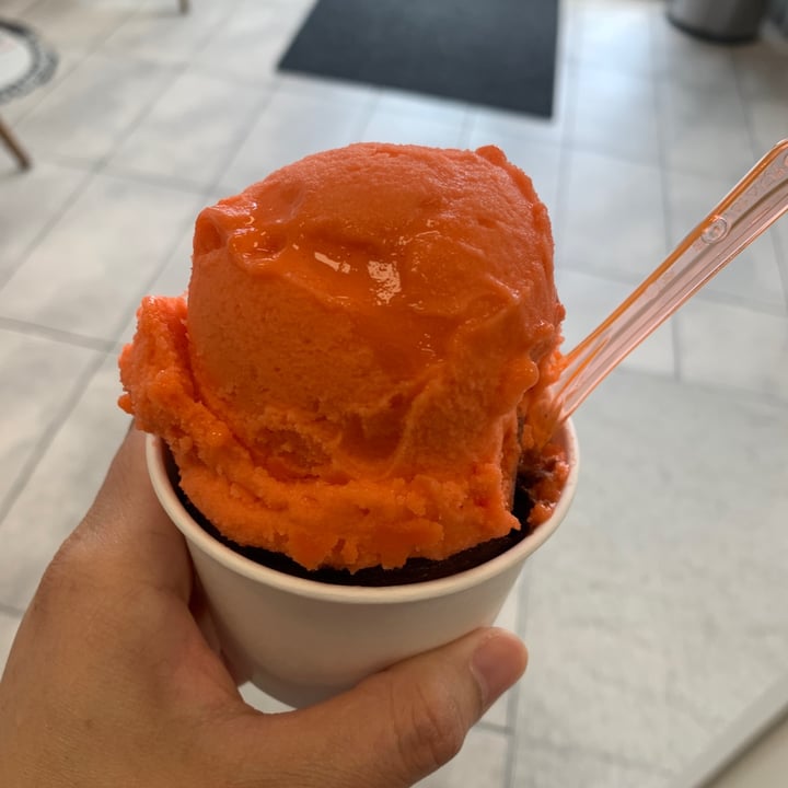 review photo of Bliss Truffles and Gelato blood orange sorbet shared by @kajun23 on 14 Aug 2022 - review