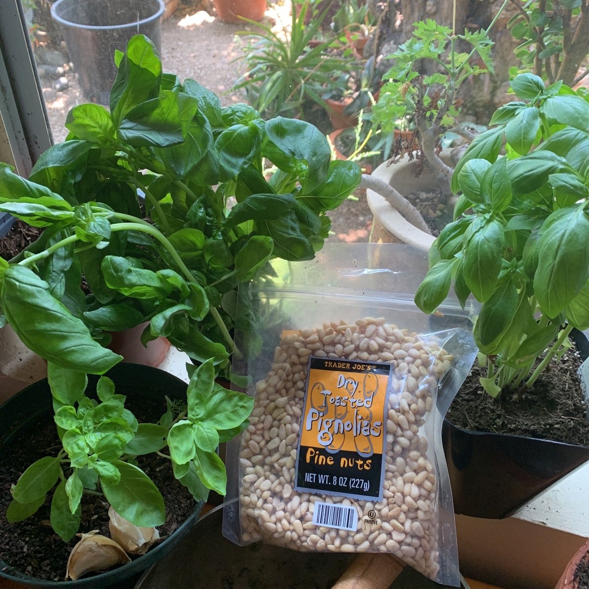 Trader Joe's Dry Toasted Pidnolias Reviews abillion