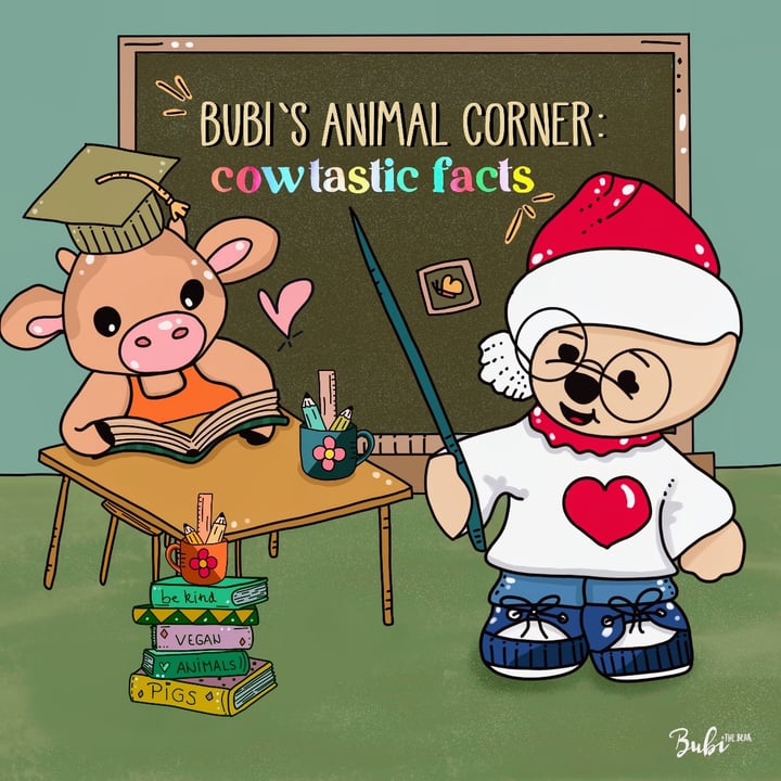 photo shared by @bubi-the-bear on  10 Jan 2022 - post