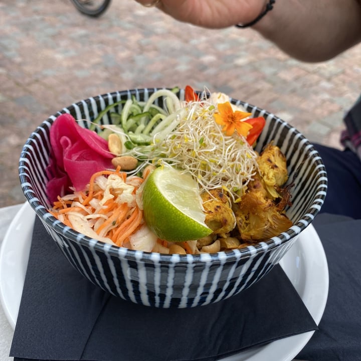 photo of Ani's Café Jackfruit bowl shared by @veronikak on  31 Jul 2021 - review