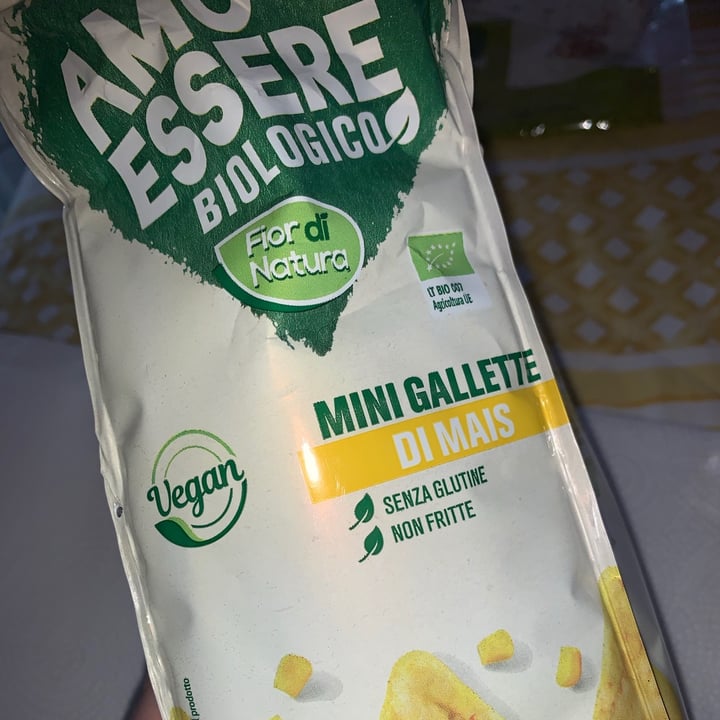 photo of Amo Essere Veg Mini Gallette Di Mais shared by @milenaveg3646 on  07 Jun 2021 - review