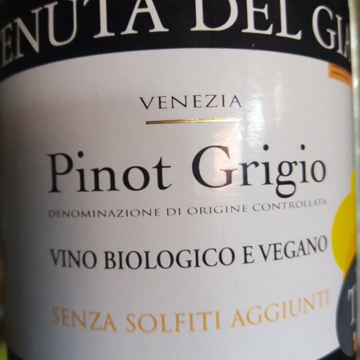 photo of Tenuta del Giaj Pinot Grigio shared by @felixveg on  28 Aug 2022 - review